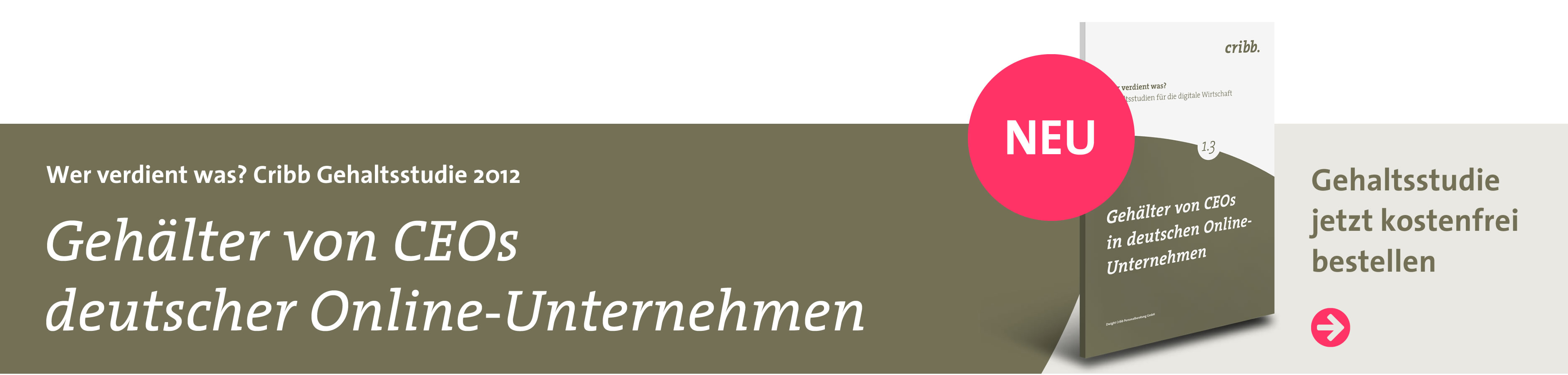 Gehaltsstudie - jetzt bestellen